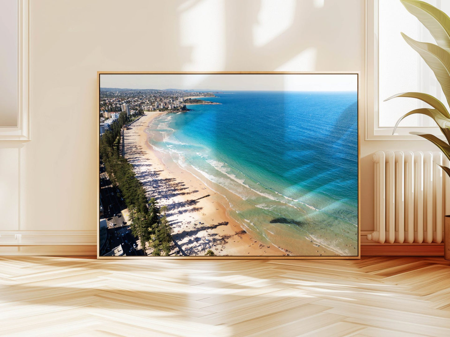 Manly Beach Aerial Photography Canvas Print image 2