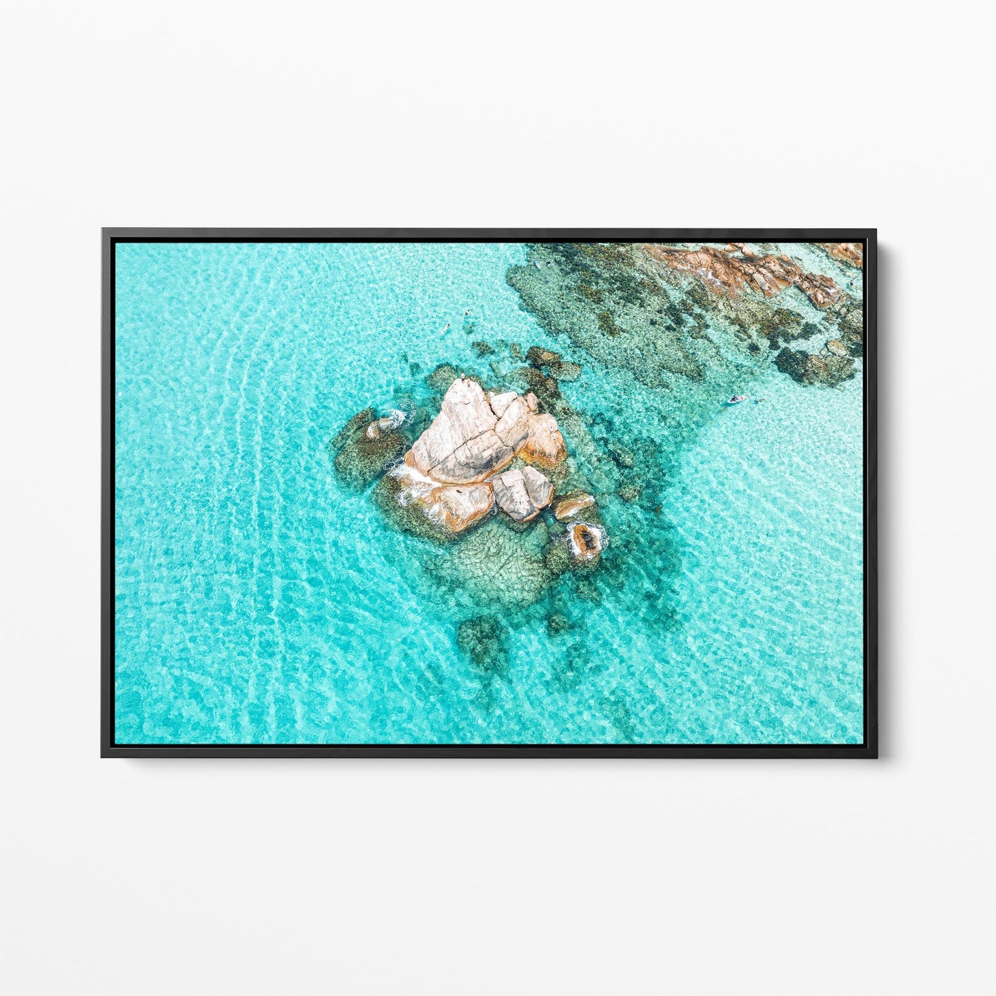 Gannet Rock black framed canvas