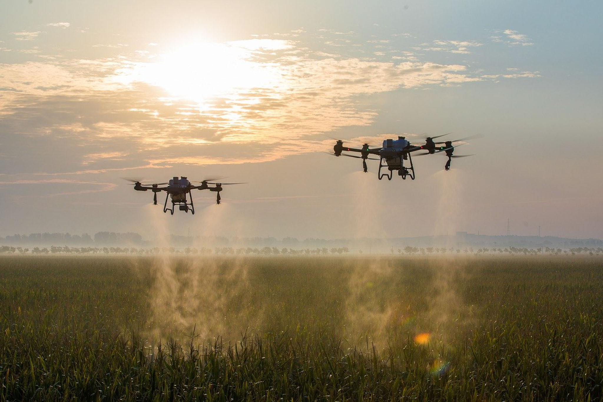 drone farming