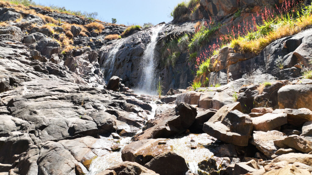 lesmurdie falls