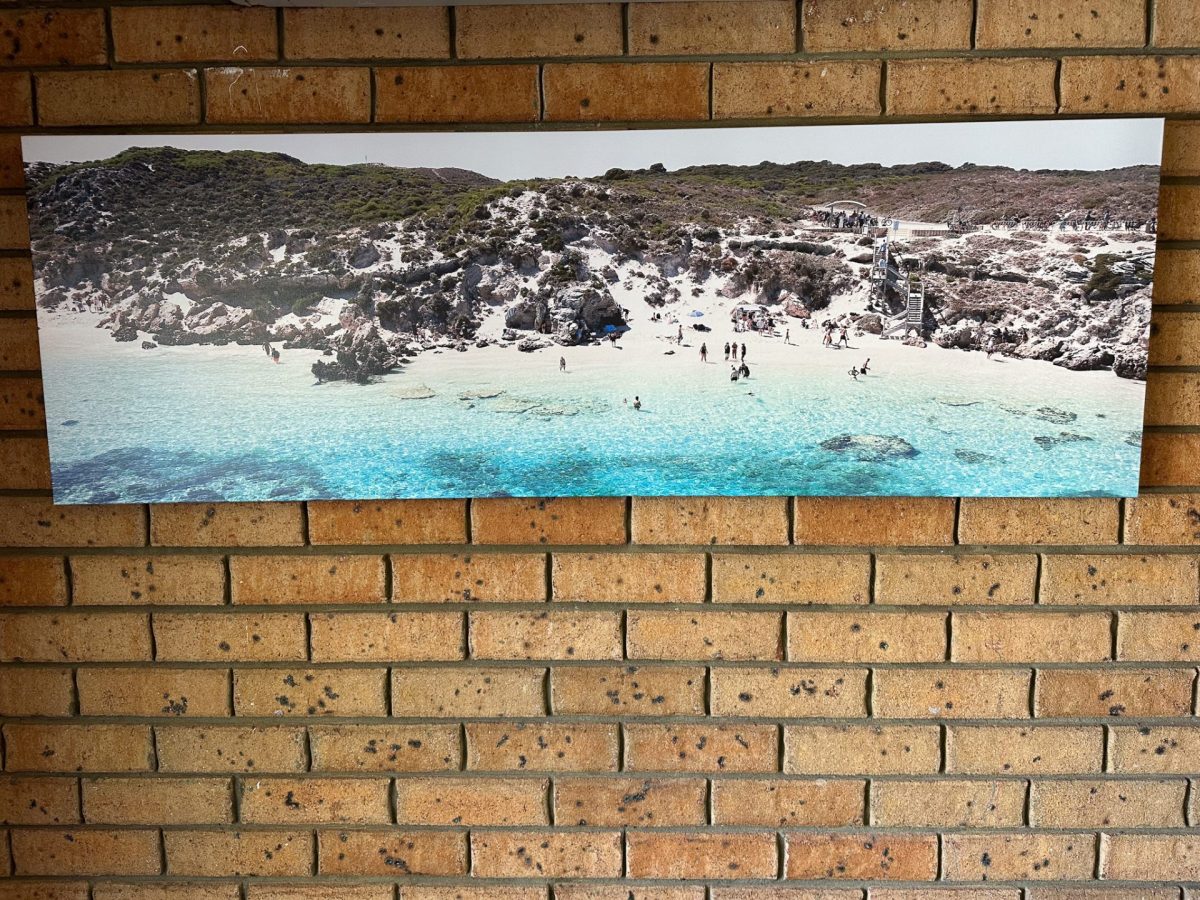 Salmon Bay Panoramic Art 50x150cm
