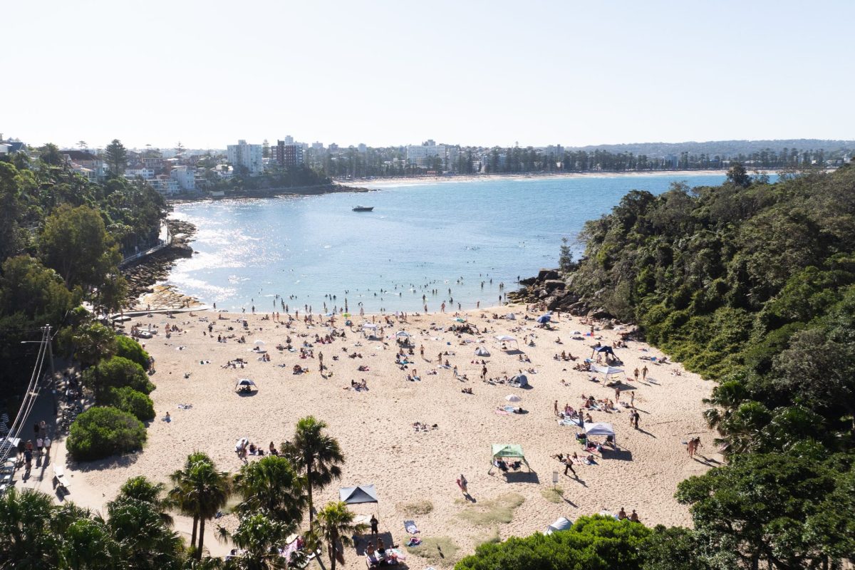 Shelly Beach Sydney