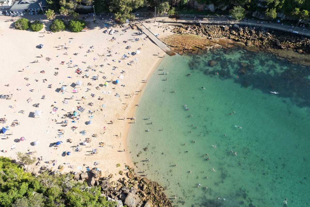 Shelly Beach Sydney